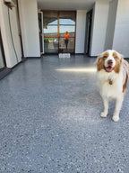U-Coat Epoxy Flake Floor Kit